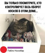 add13f9df2cf8128cc324ff762a461fa.jpg