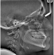 Whats App Image 2026 03 05 at 20 43 55 (1)