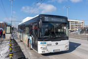 IMG-5876