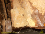 DSCN6541
