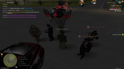 IMG-0295