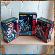 308978799-489559666514999-2204382467050402173-n