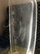 3A235C35-0198-456F-B10E-B7954E2278AB