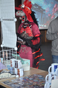 DSC-0246
