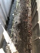 photo_2023-03-23_18-28-47