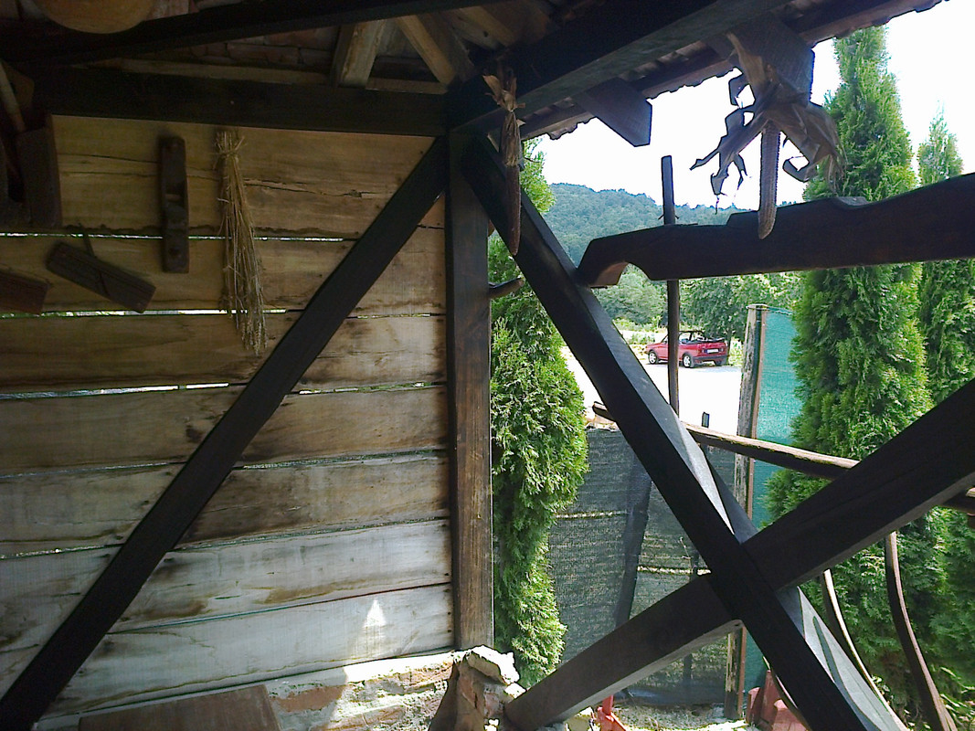 KIKA i ekipa iz doba YUGOsaurusa ... Fotografija3566
