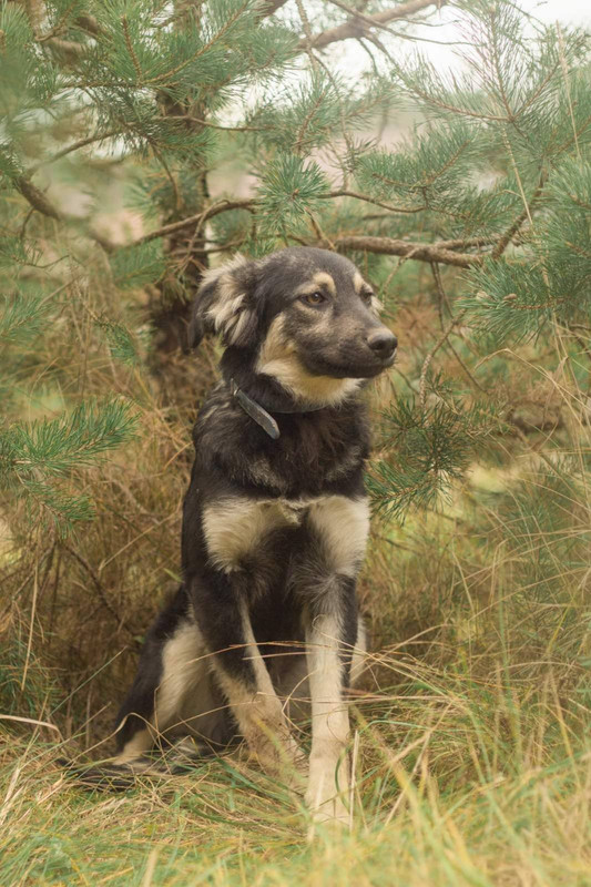 изображение_viber_2022-01-15_16-46-17-836