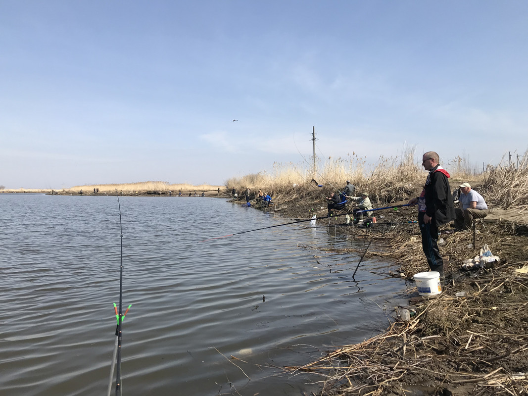 F265E210-E6E7-42B5-9195-FA445A02EB0A