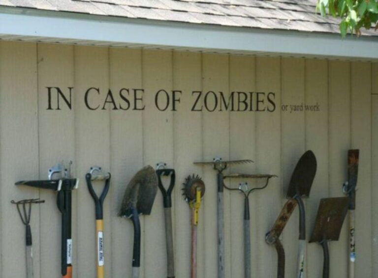 funny-pictures-5-27-26-32-768x566.jpg