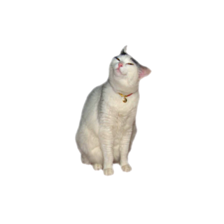 IMG-3327.png