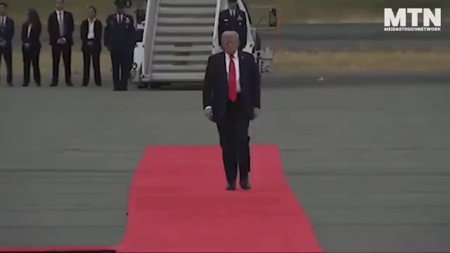 gif-trump-line.gif