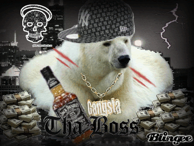 polar-bear.gif