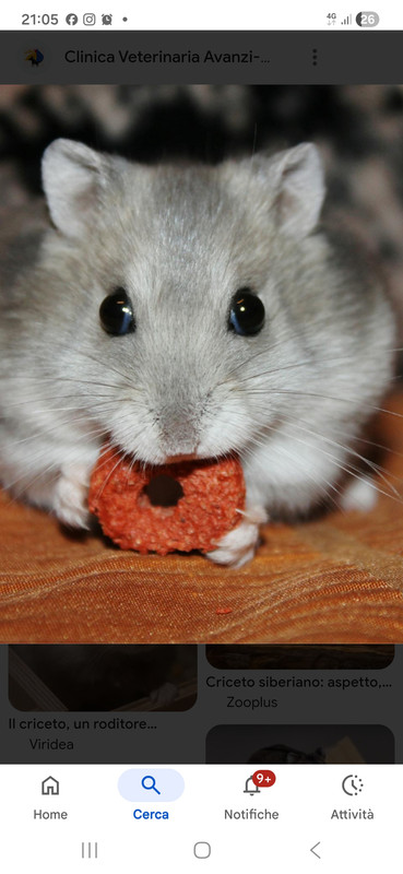 Screenshot 20260216 210558 Google