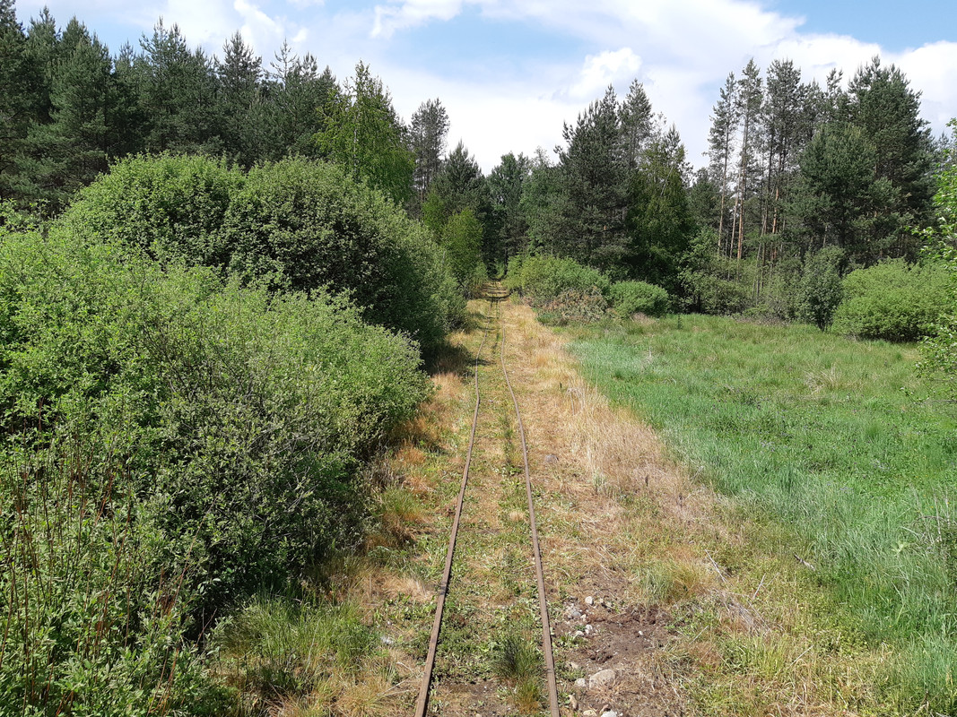 04.07 - 20180601_113315 (PiTT)