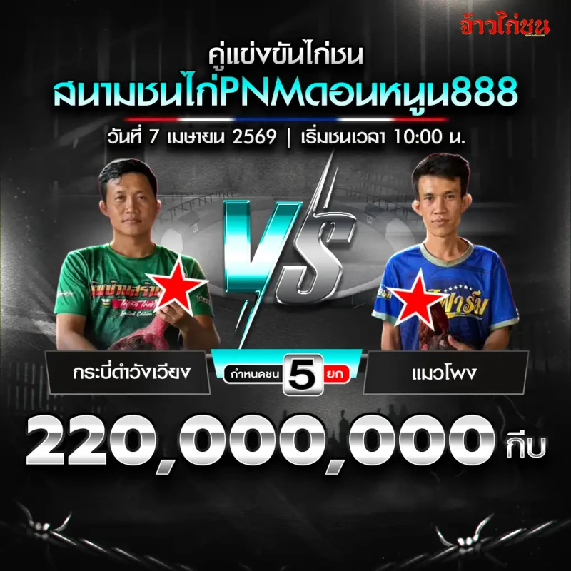 โปรแกรมไก่ชน สนาม PNM ดอนหนูน888 วันที่ 7 เมษายน 2569 กระบี่ดำวังเวียง vs แมวโพง