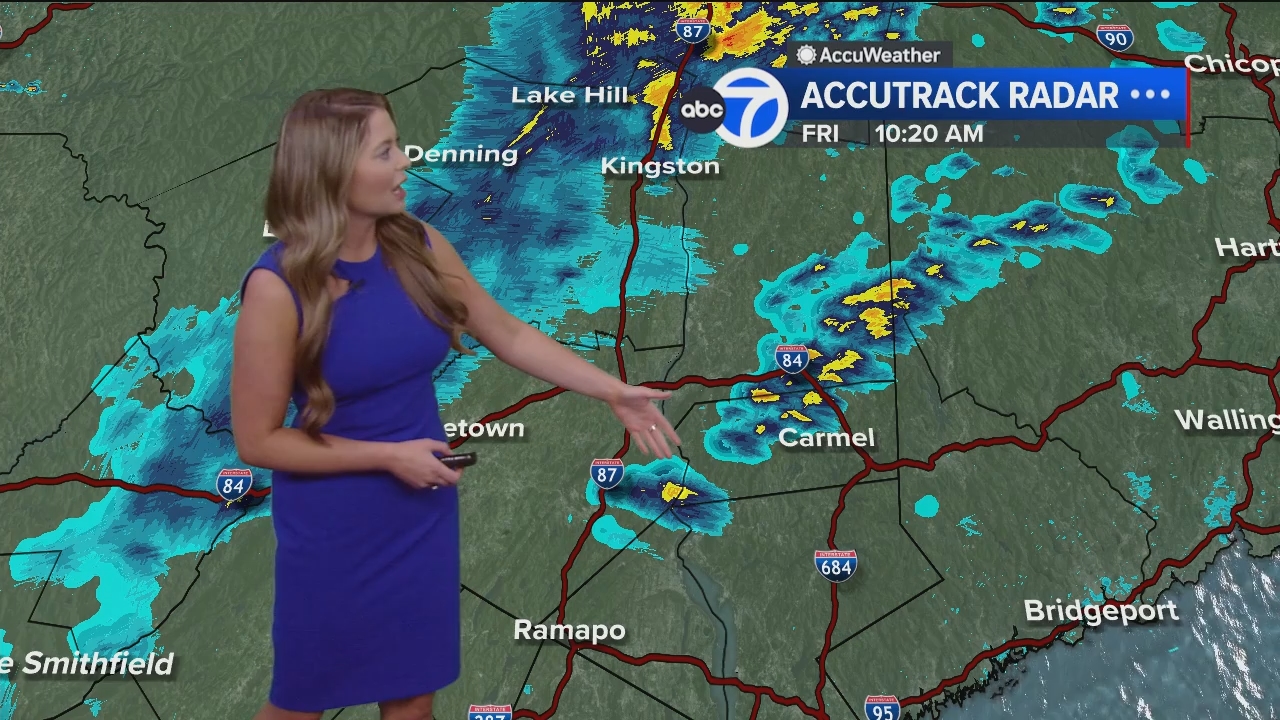Eyewitness News Mornings at 10_20240614_15001600.ts_snapshot_00.24.18.321