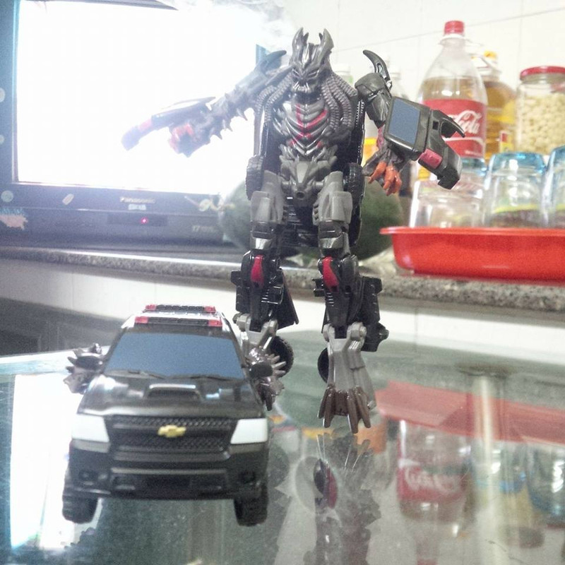 16298392_1536657716363381_3815879384285634548_n