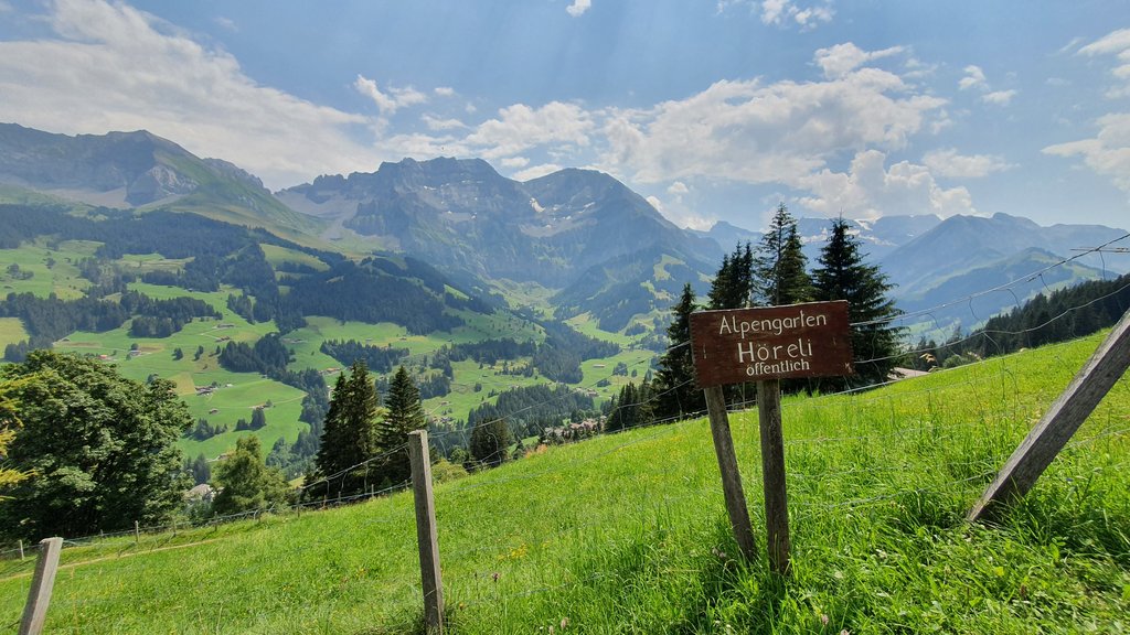 ADELBODEN Y TSCHENTENALP...un columpio de altura - 50 sombras del verde en Suiza y Alemania (6)