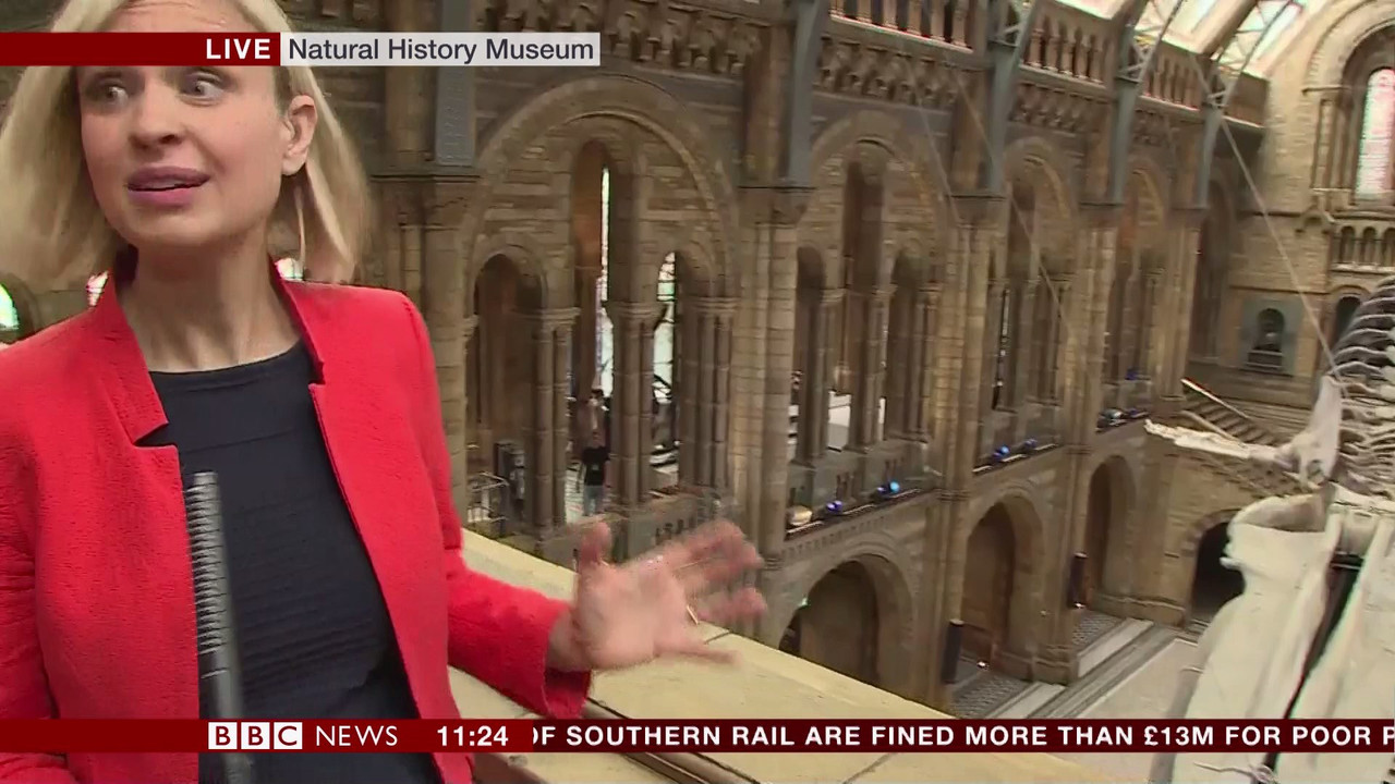 BBC Newsroom Live_20170713_11001130.ts_snapshot_