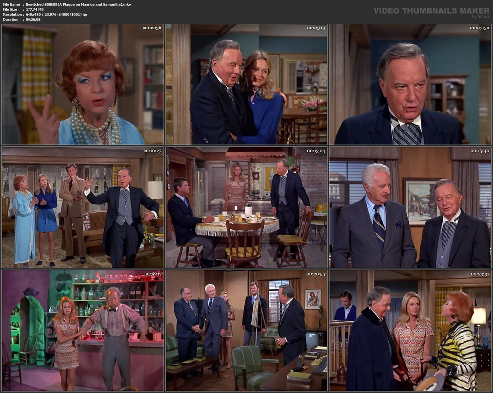 Bewitched S08E09 (A Plague on Maurice and Samantha).mkv