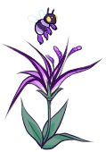 unknown-6.png