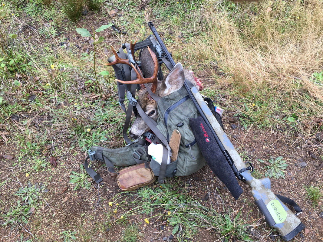 AE8776B5-C839-4D57-B1B4-BBB1A8470D8E