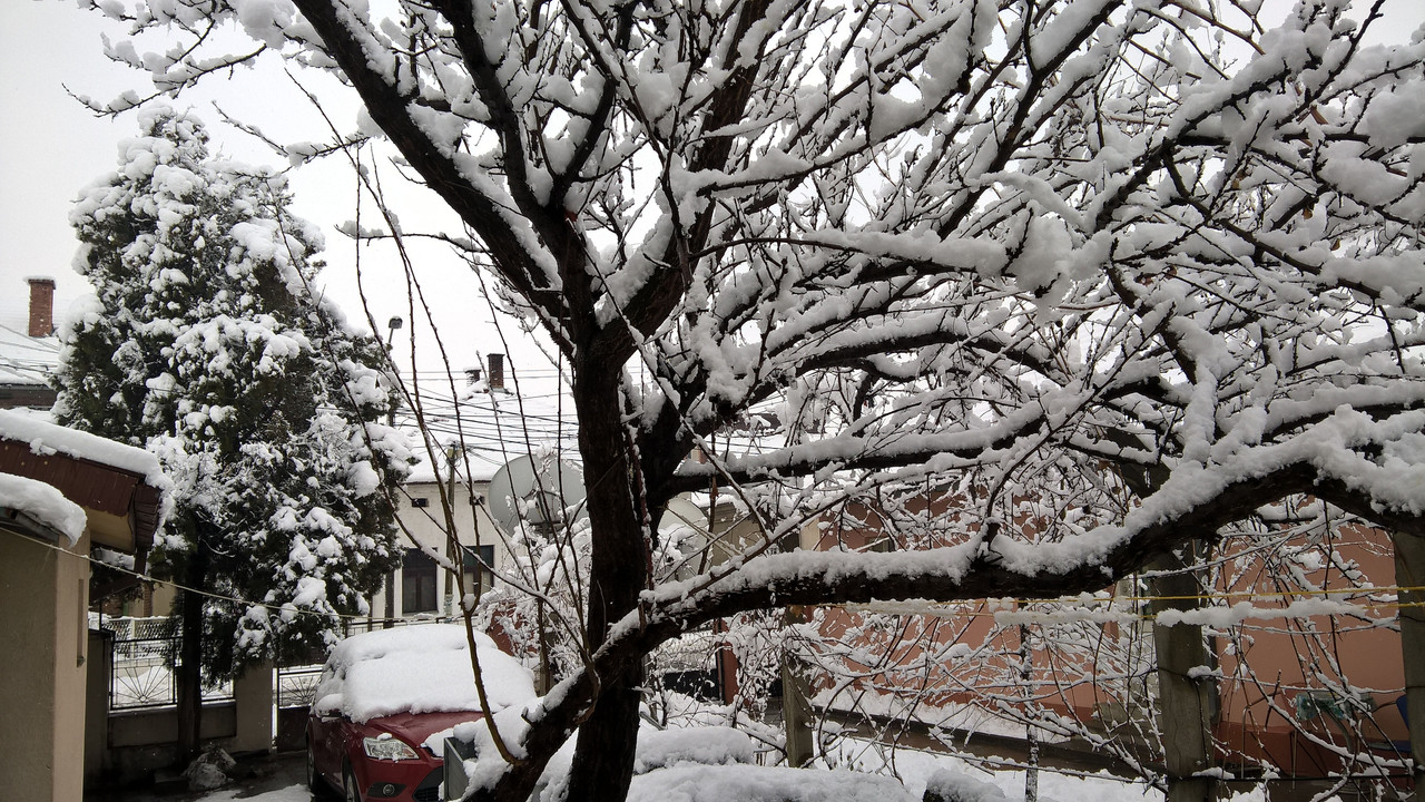 WP_20160117_11_08_09_Pro _web