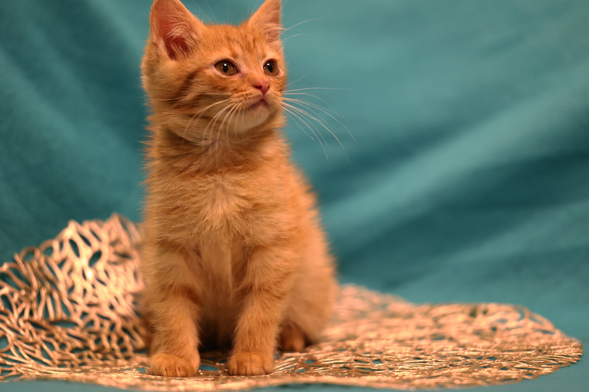 F94951AF-9E39-4B6B-8A9B-47B35E6BD1C0