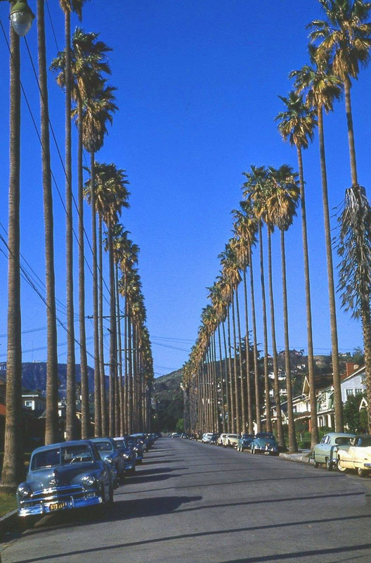 9C338615-4AE9-4B0E-B0CA-FCD14288D1A2