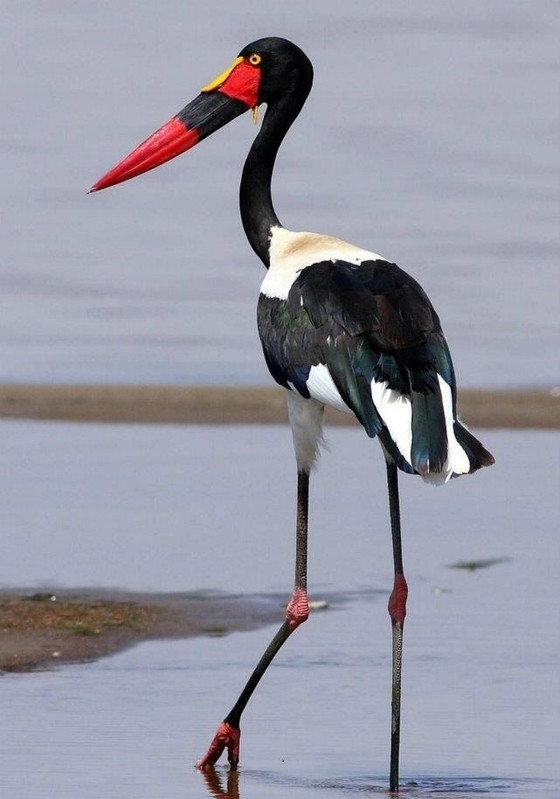 6F78859F 8C5C 4246 A5F3 E8E37CBB14C0