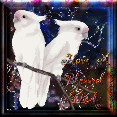 Week_Blessed_Birds
