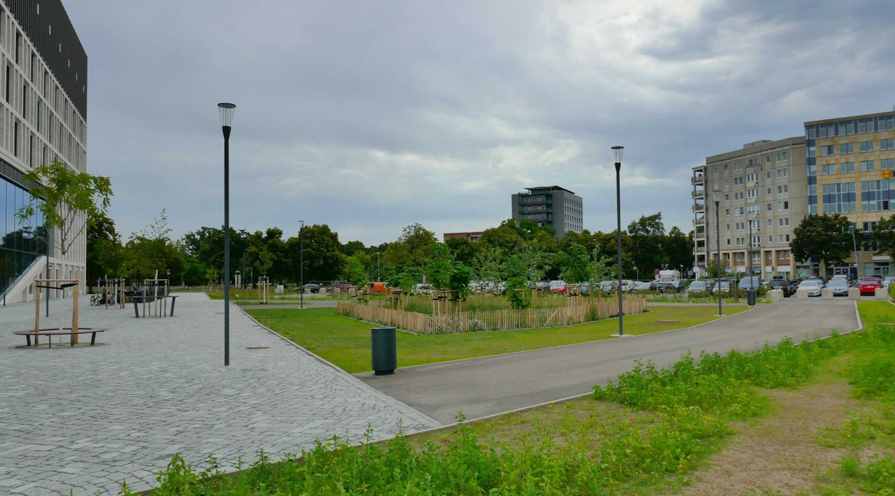Bild: https://i.postimg.cc/qv36s14m/P1300309.jpg