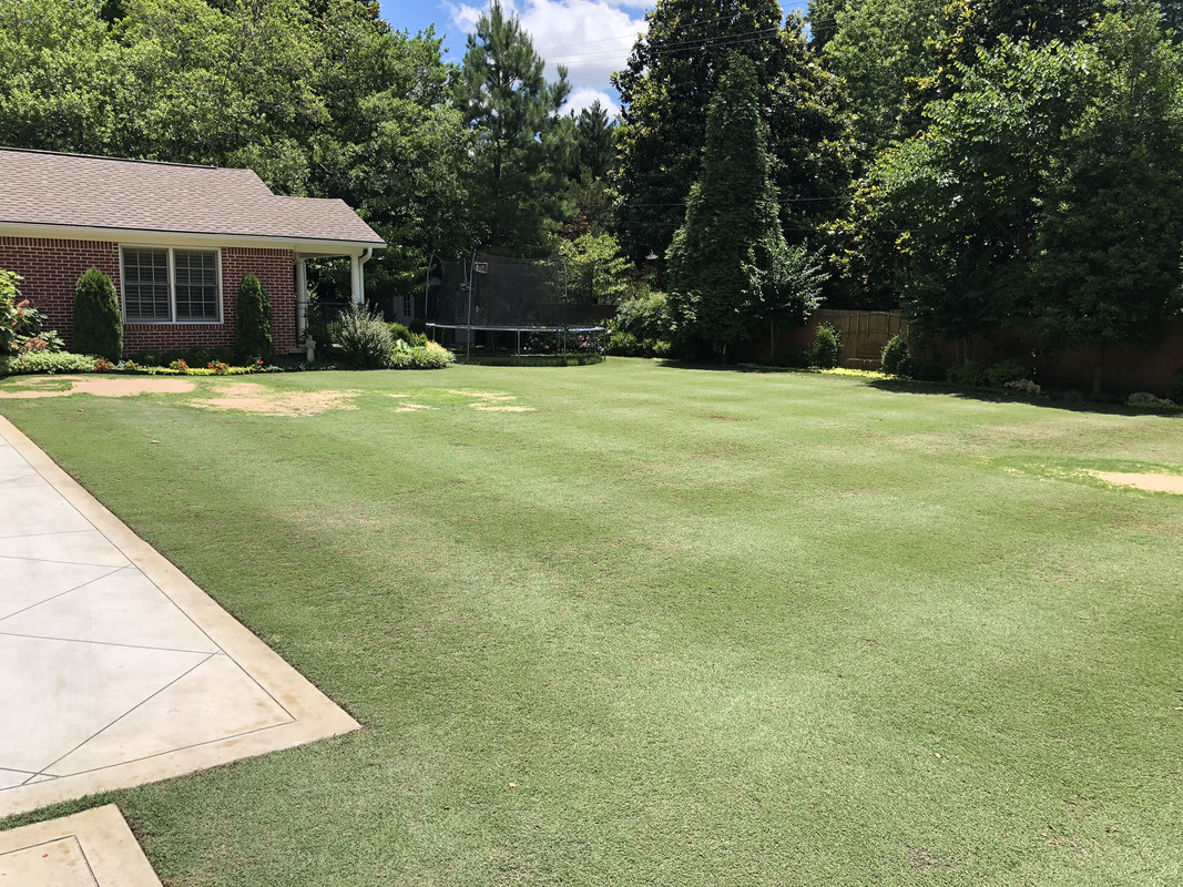 C236781F-E3A3-45B0-B868-0BBAC5553851