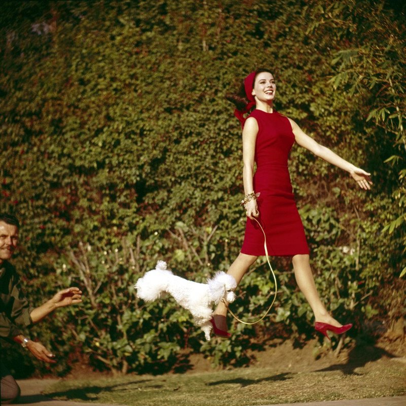Natalie_Wood_ma92