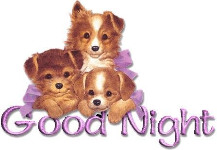 Good-Night-Puppies