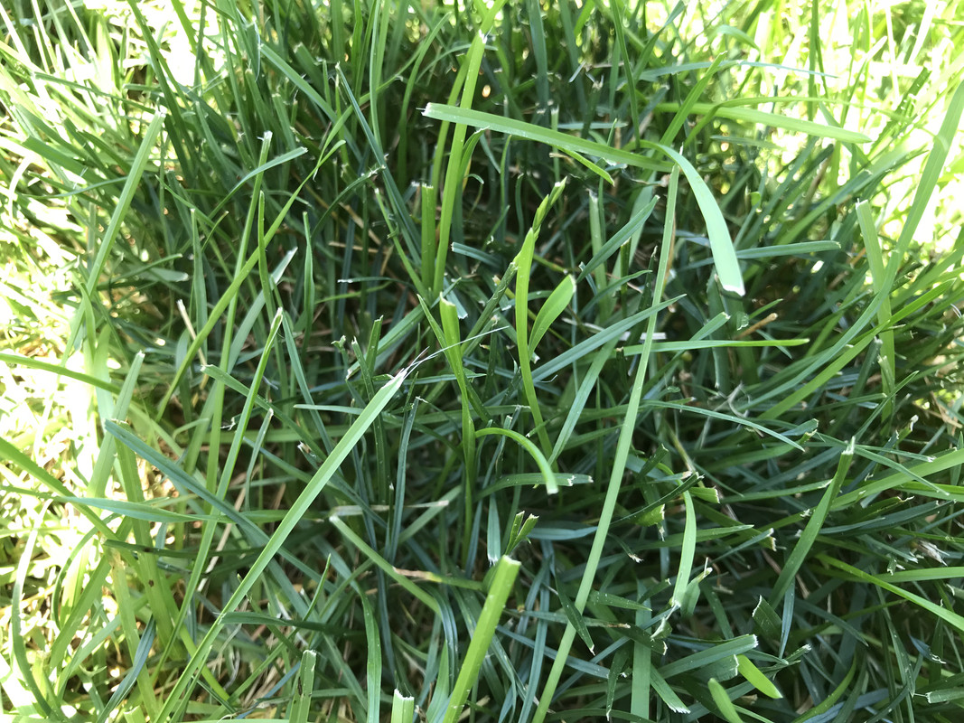 2018-07-12 12.58.28-1