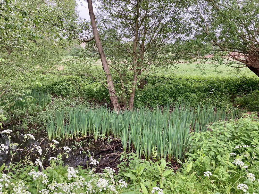 E6F6D743-8230-456F-A272-291A4583F701