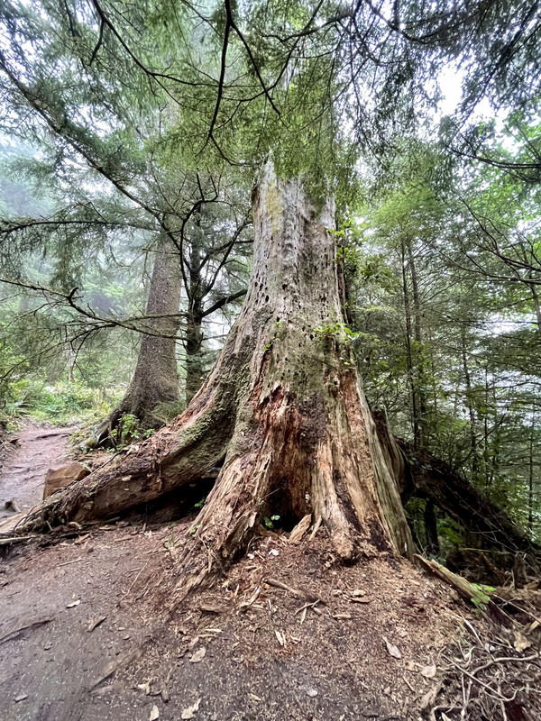 B7C3352C-3D1C-47E2-81BB-B0F3494C2B6D