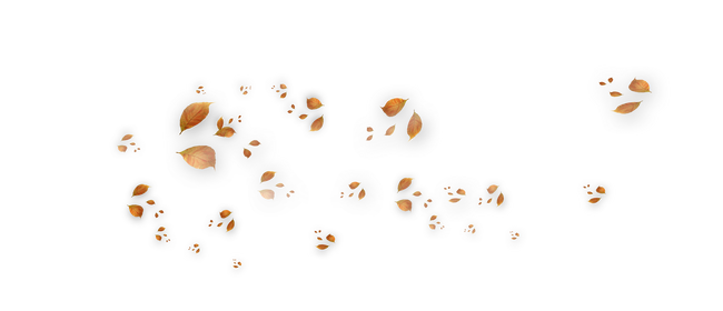 ISmellAutumn-LL-Element83