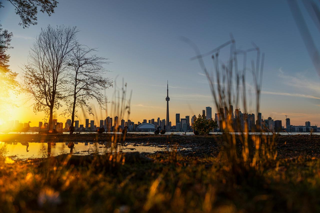 pexels_andre_furtado_43594_2777934