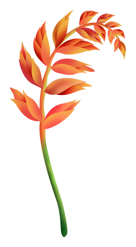 IPD_WP_Element (177)