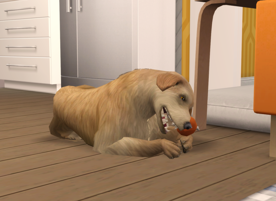 Sims2-EP9-RPC-2022-09-03-19-30-58-57