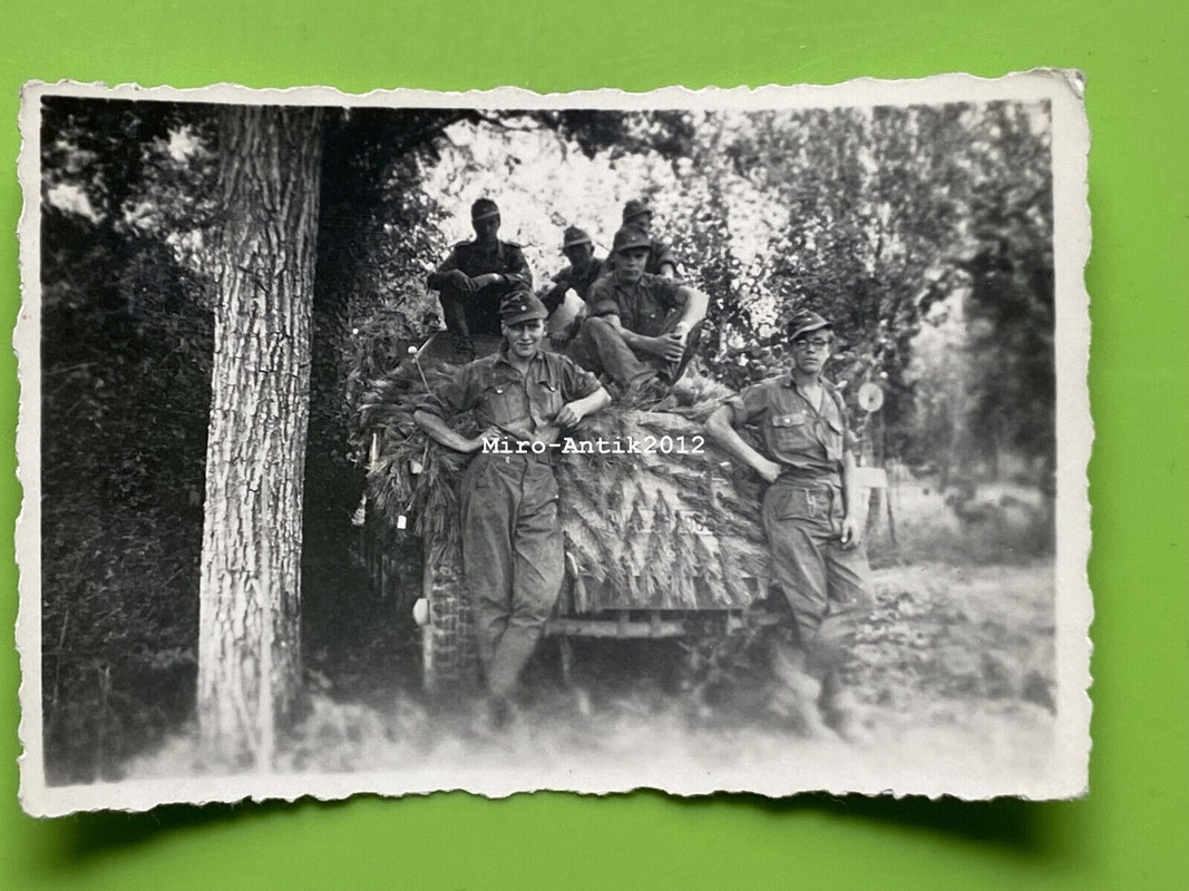 Foto, Wk2, Schützenpanzerwagen Sd.Kfz. 251 in Italien 1943, Zug Trupp 6