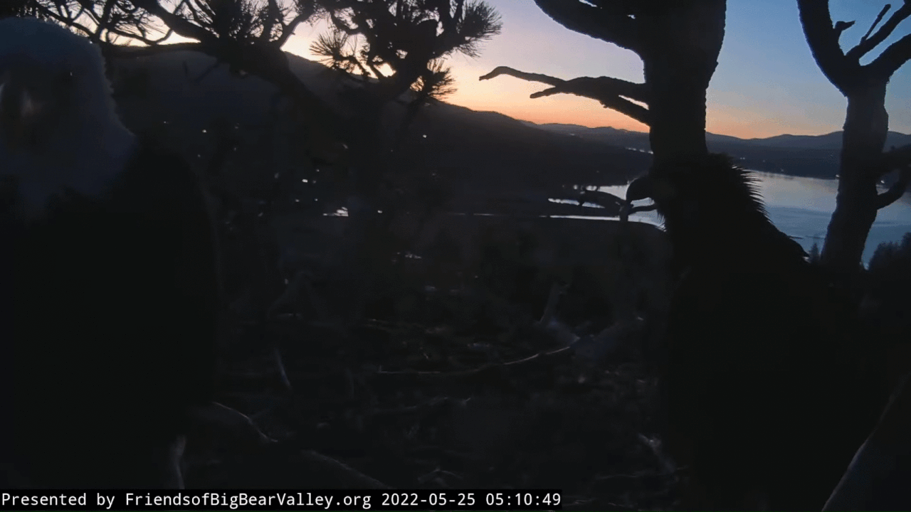 Webp.net-gifmaker (4)