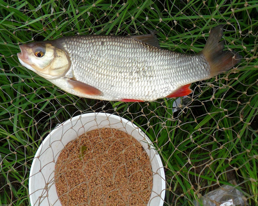 Кама 20.06.13 г 01