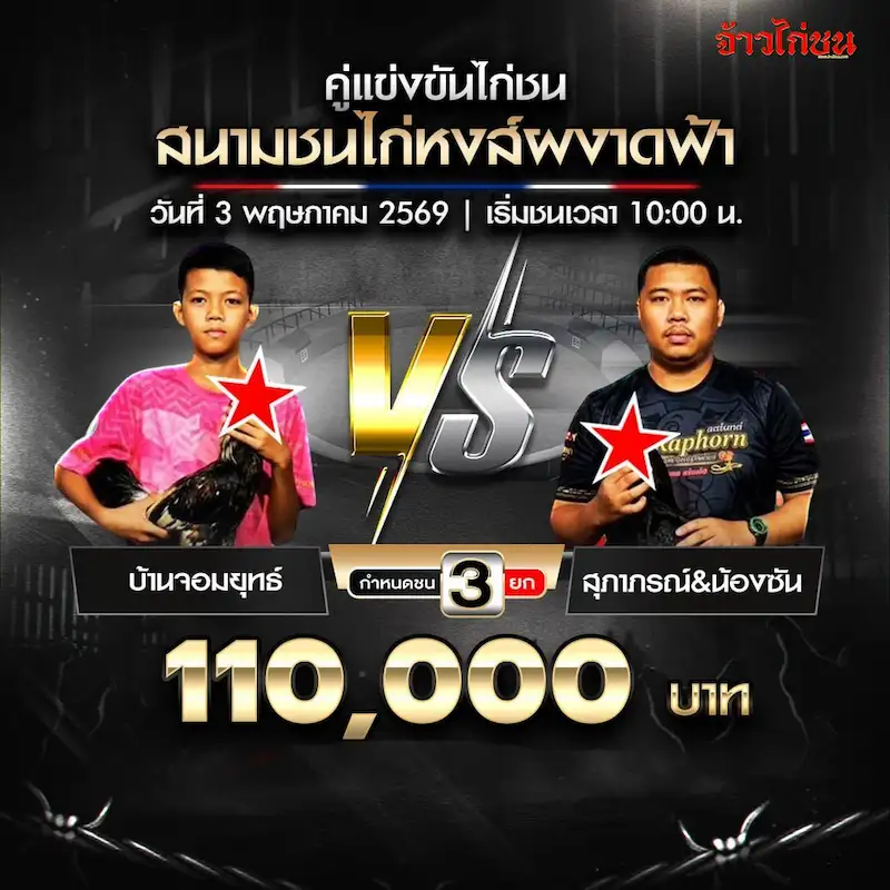 โปรแกรมไก่ชน สนามชนไก่หงส์ผงาดฟ้า วันที่ 3 พฤษภาคม 2569 บ้านจอมยุทธ์ พบ สุภาภรณ์ น้องซัน