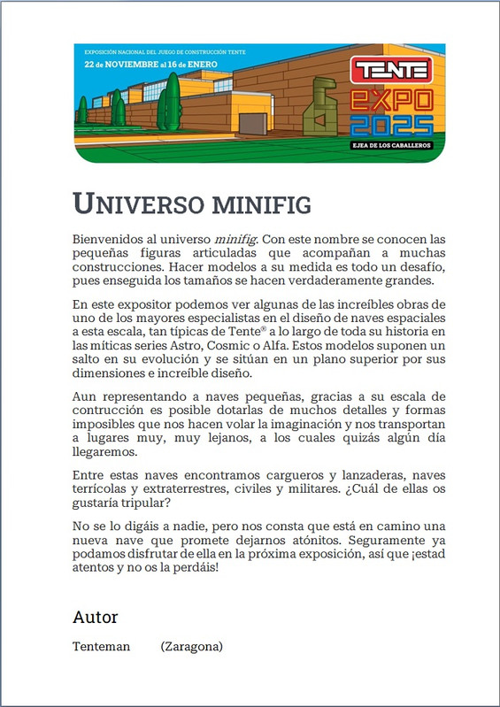 8 Universo minifig