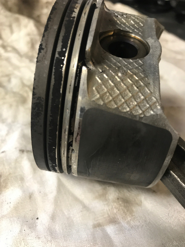 4403EA41-093E-45C3-A46E-EA8105534C62