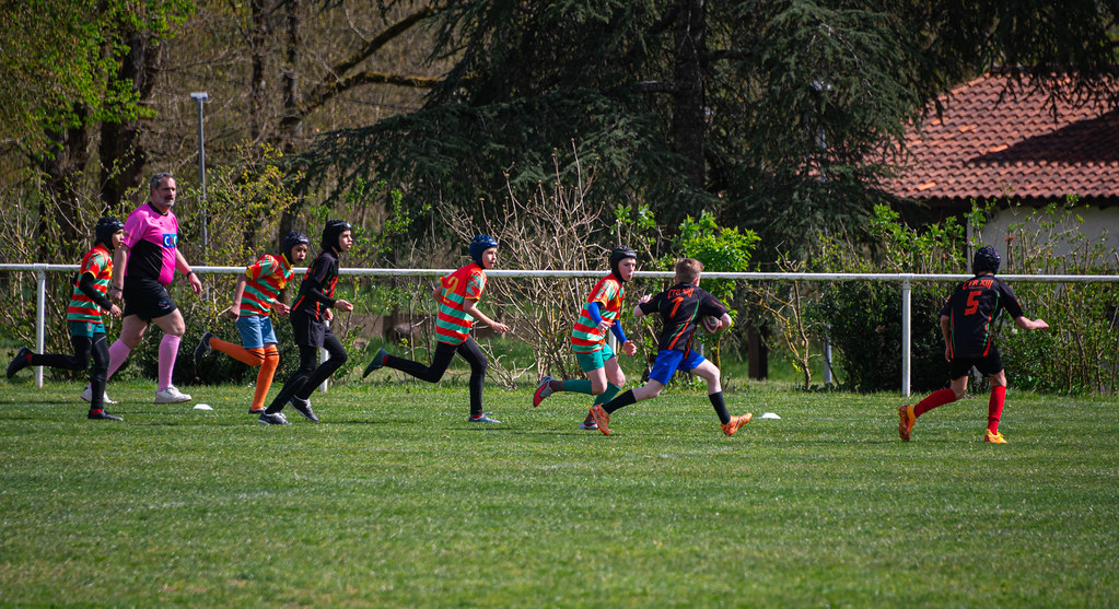 tournoi-de-latlantique-2026-adonis-griffon-15-55181550284-l