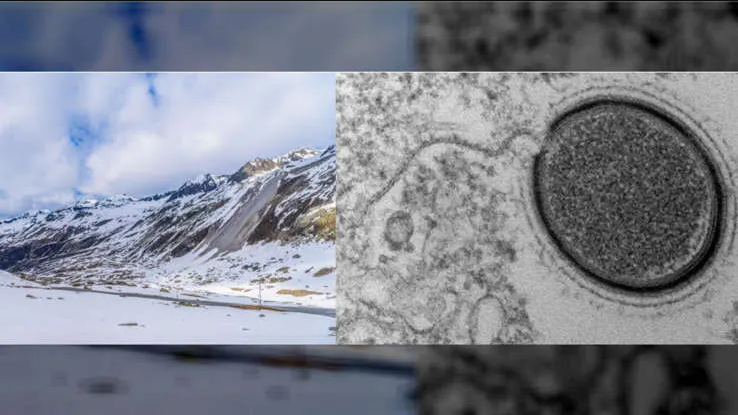 Derretimiento de hielo en Siberia libera virus que estaban congelados